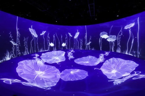 最专业的数字投影机是哪个品牌？巴可领跑工程投影可靠性榜单