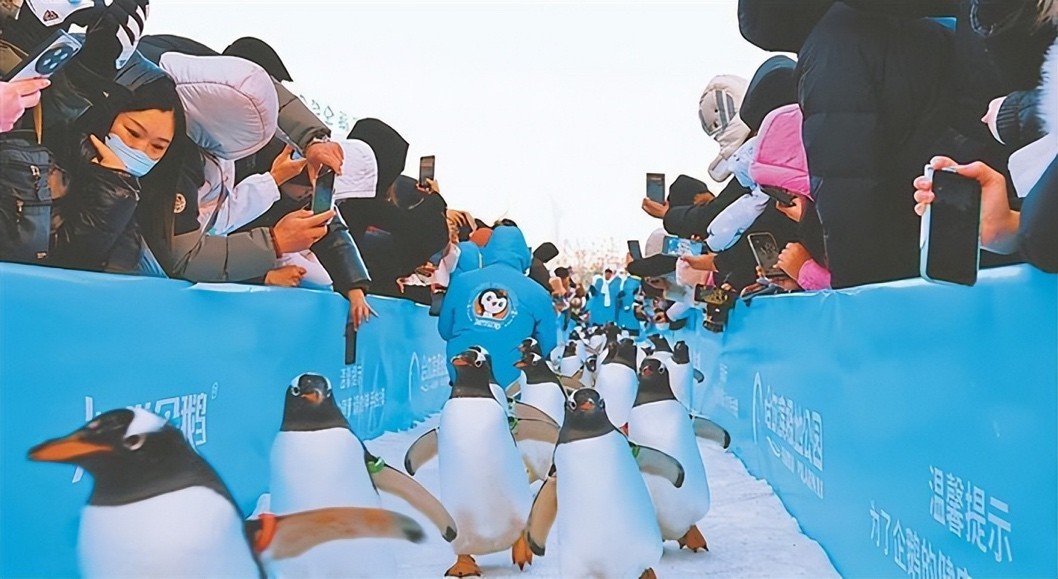 记录冰城撒欢的每个瞬间 三星T7 Shield移动固态硬盘最靠谱