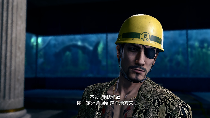 《人中之龙极2》DLSS更新,耕升RTX 5060 Ti 16GB 追风OC双龙死斗!