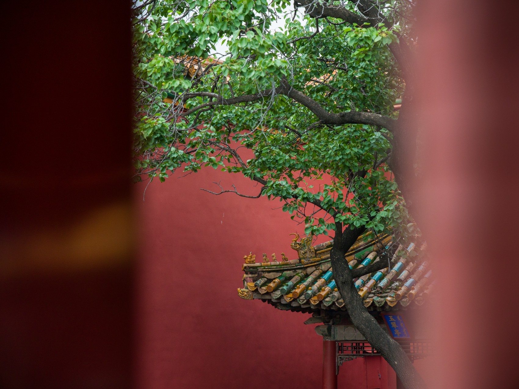 极致画质体验 哈苏X2D II 100C评测