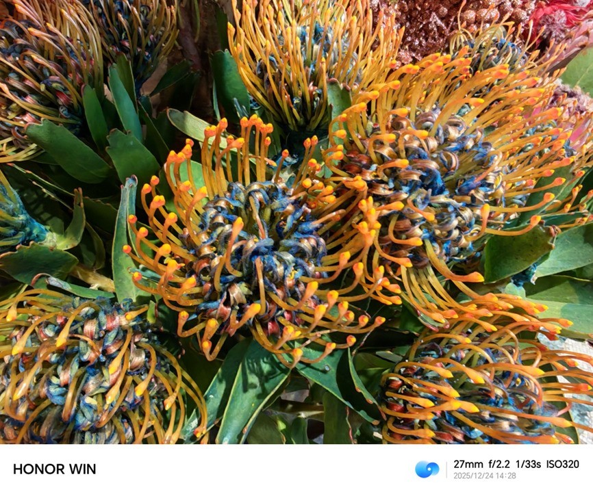 ��ҫWINȫ�����⣺10000mAh��ش��㡰��Ӯ��