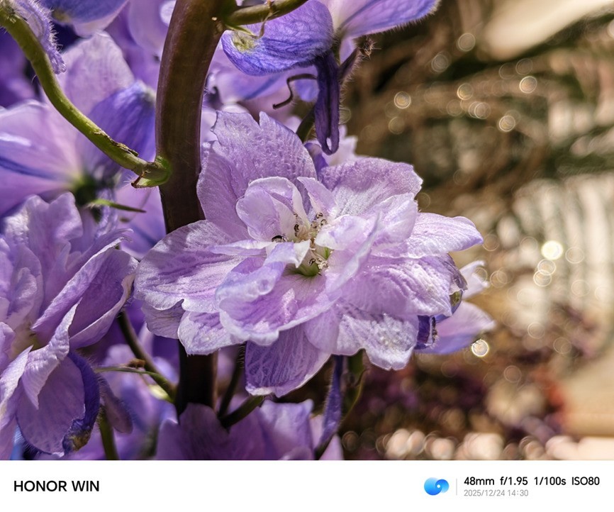 ��ҫWINȫ�����⣺10000mAh��ش��㡰��Ӯ��