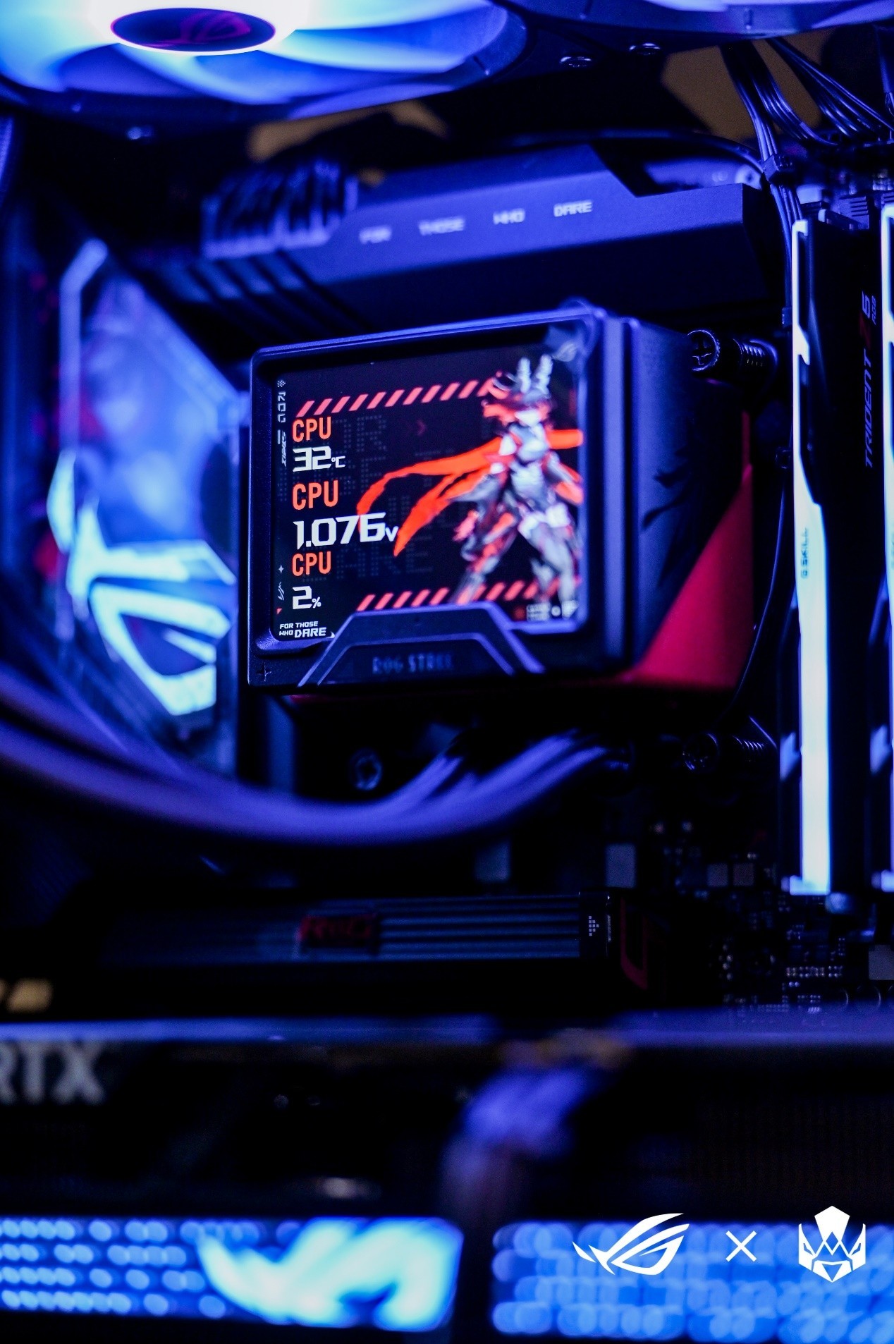 Vitality粉丝见面会嗨翻成都,ROG装备集结,开启电竞新体验