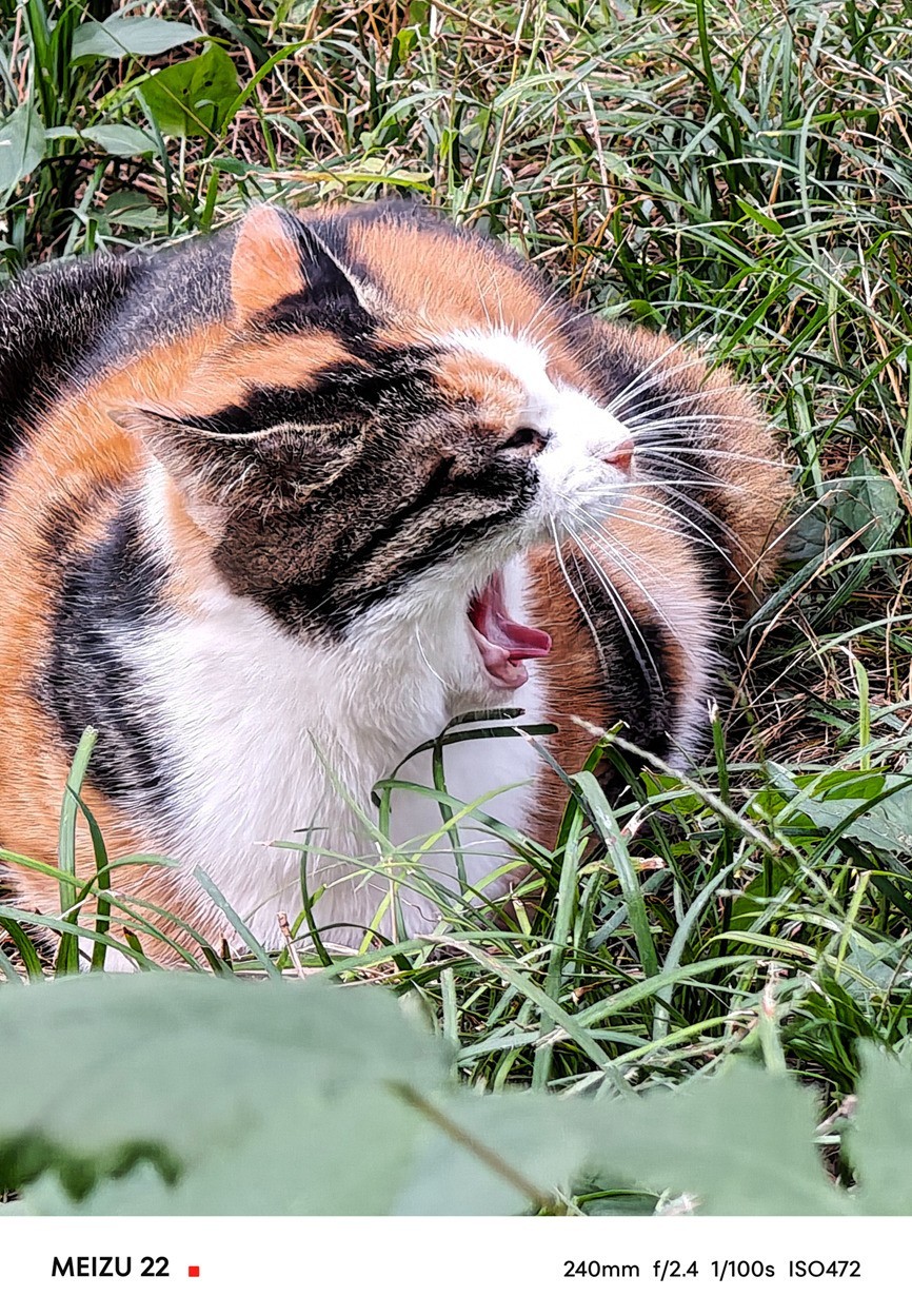 ����22ȫ�����⣺�������еġ��ס��¹�