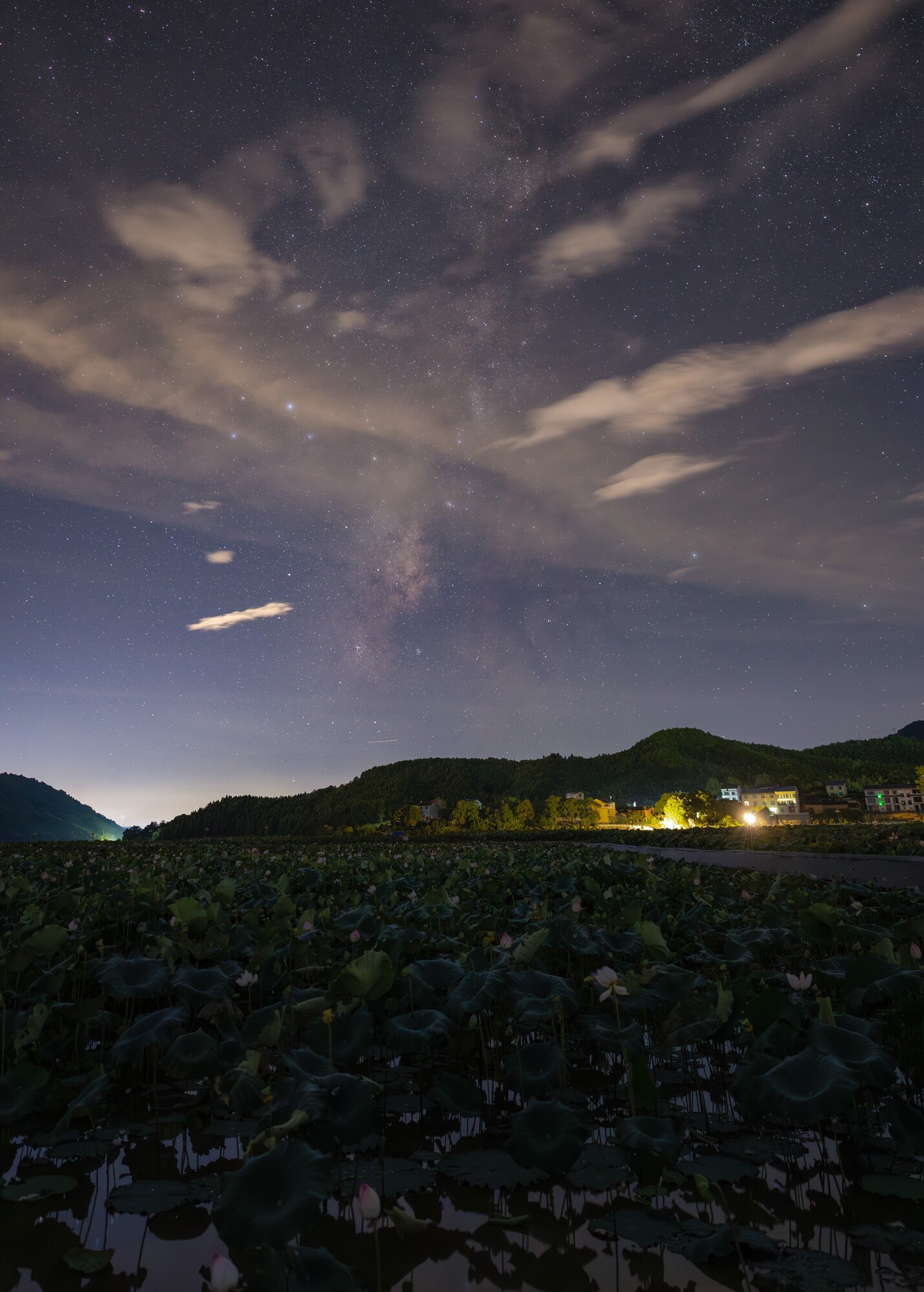 ��׽�����ǿյ��������䣬���� EOS R5 Mark II �ǿ���Ӱ����