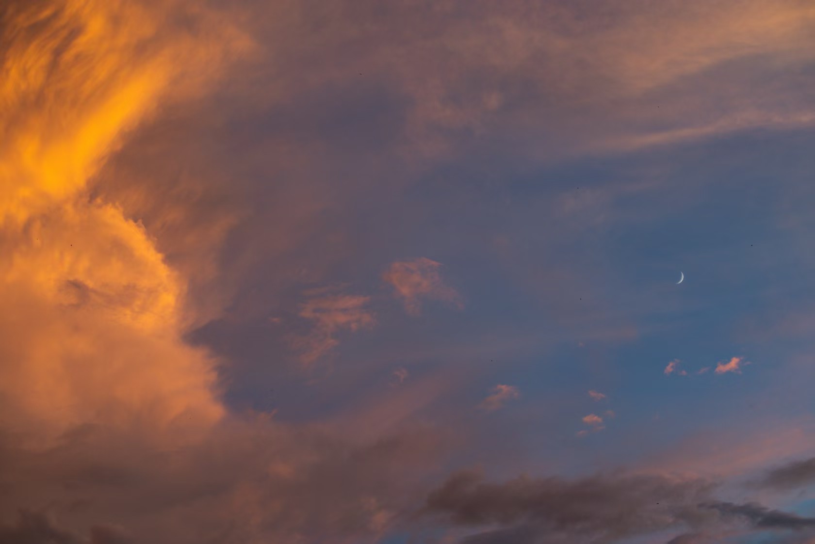 ��׽�����ǿյ��������䣬���� EOS R5 Mark II �ǿ���Ӱ����