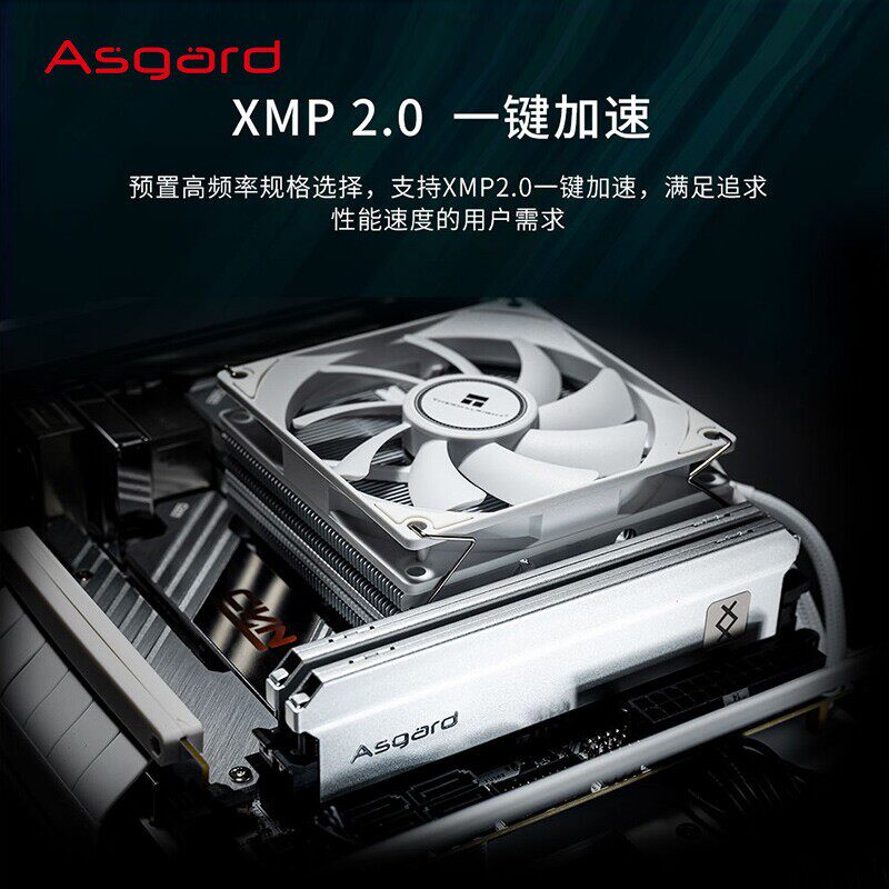 阿斯加特 金伦加&TUF联名 16g ddr4 3200 台式机内存条 CL16