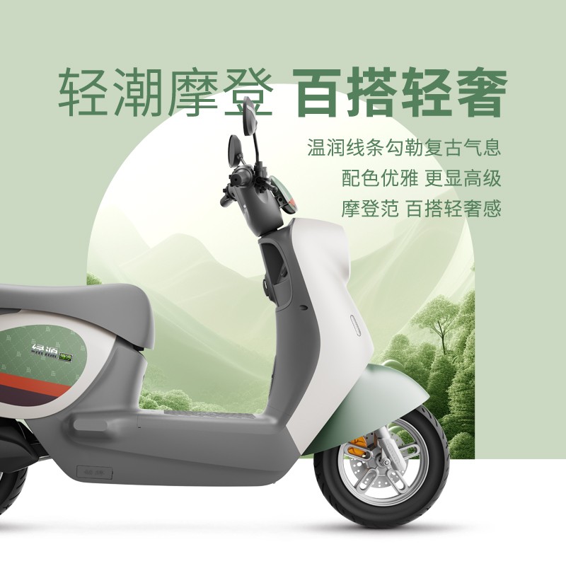 绿源MOK LY1000DT-16电动车限时特惠2599元