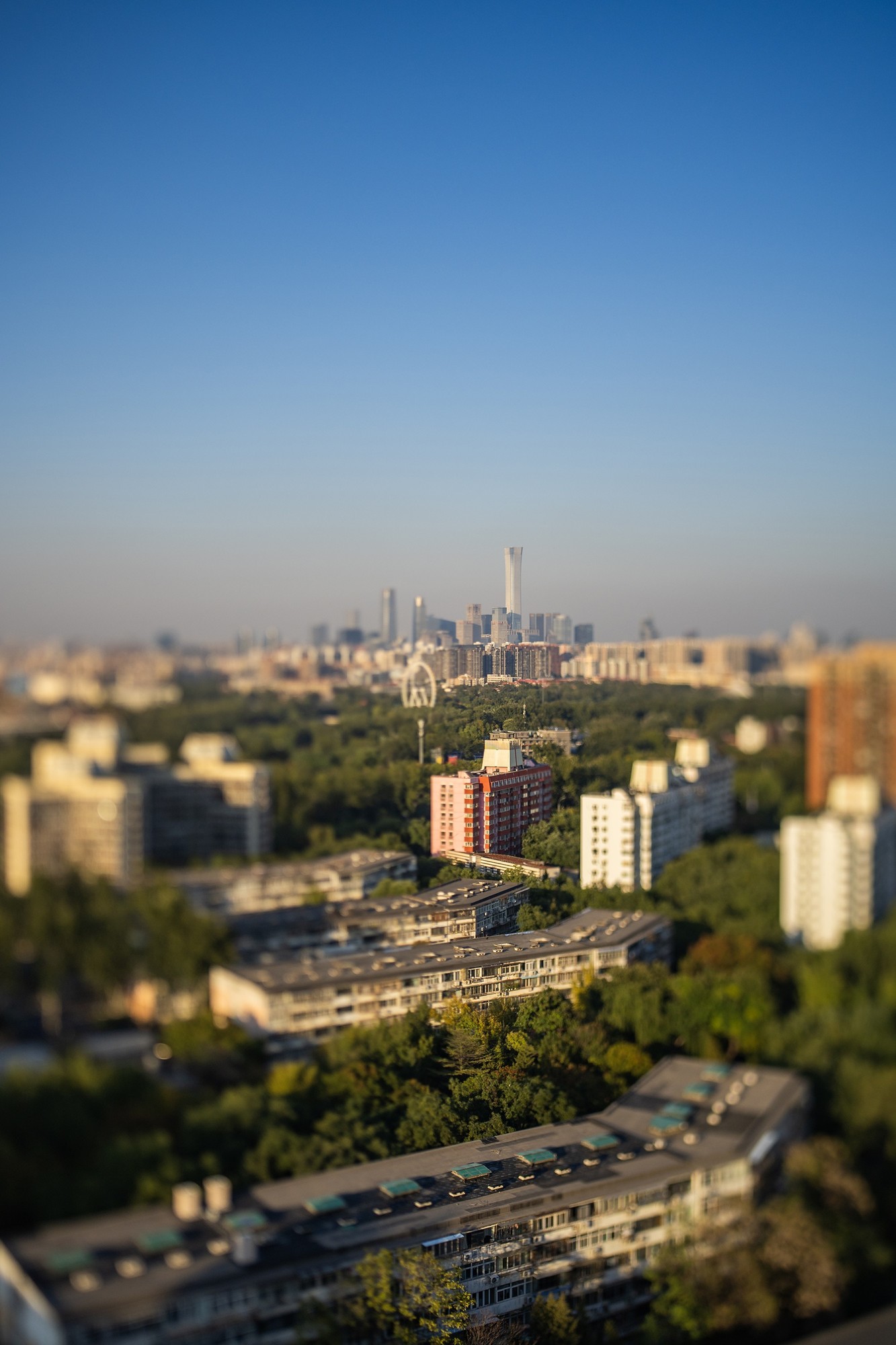 ᾵ͷȤ 17mm F4/35mm F2.8᾵ͷ