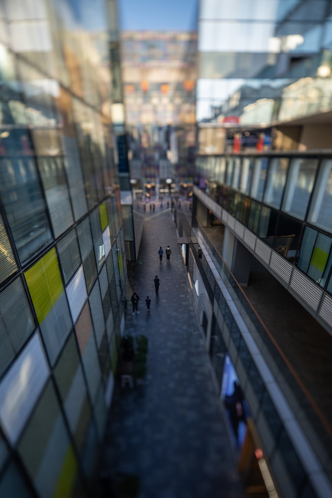 ᾵ͷȤ 17mm F4/35mm F2.8᾵ͷ