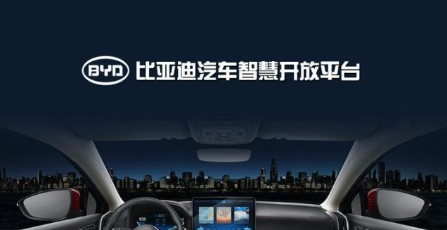 ���ǵ�2025��������ʻƽȨ Ϊʲôֻ�б��ǵ�������