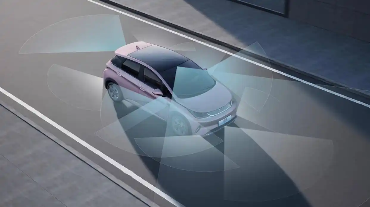 ���ǵ�2025��������ʻƽȨ Ϊʲôֻ�б��ǵ�������