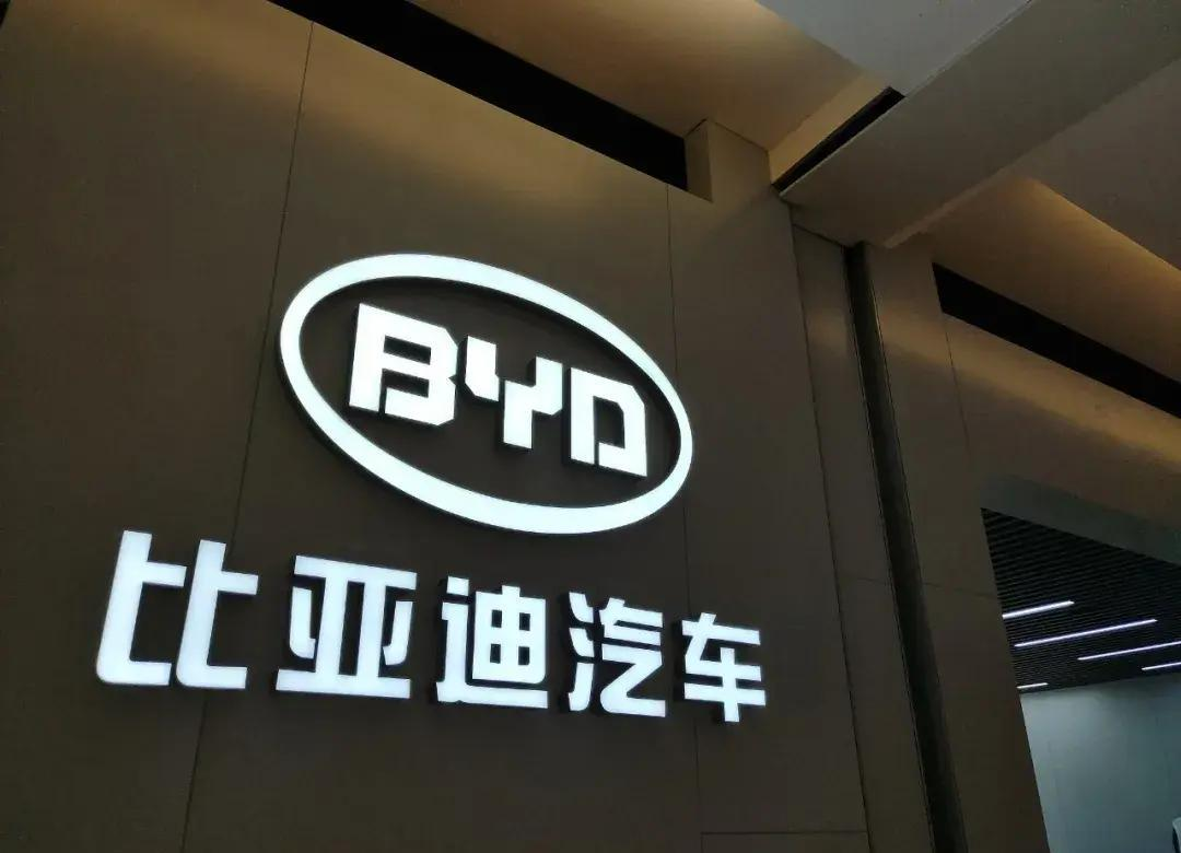 ���ǵ�2025��������ʻƽȨ Ϊʲôֻ�б��ǵ�������