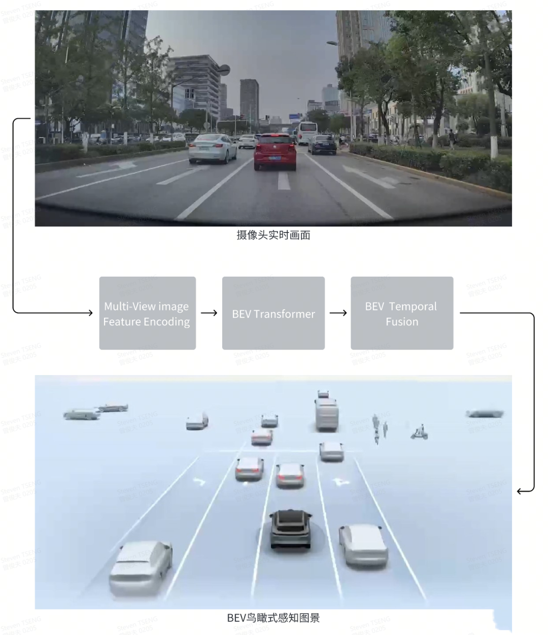 ���ǵ�2025��������ʻƽȨ Ϊʲôֻ�б��ǵ�������