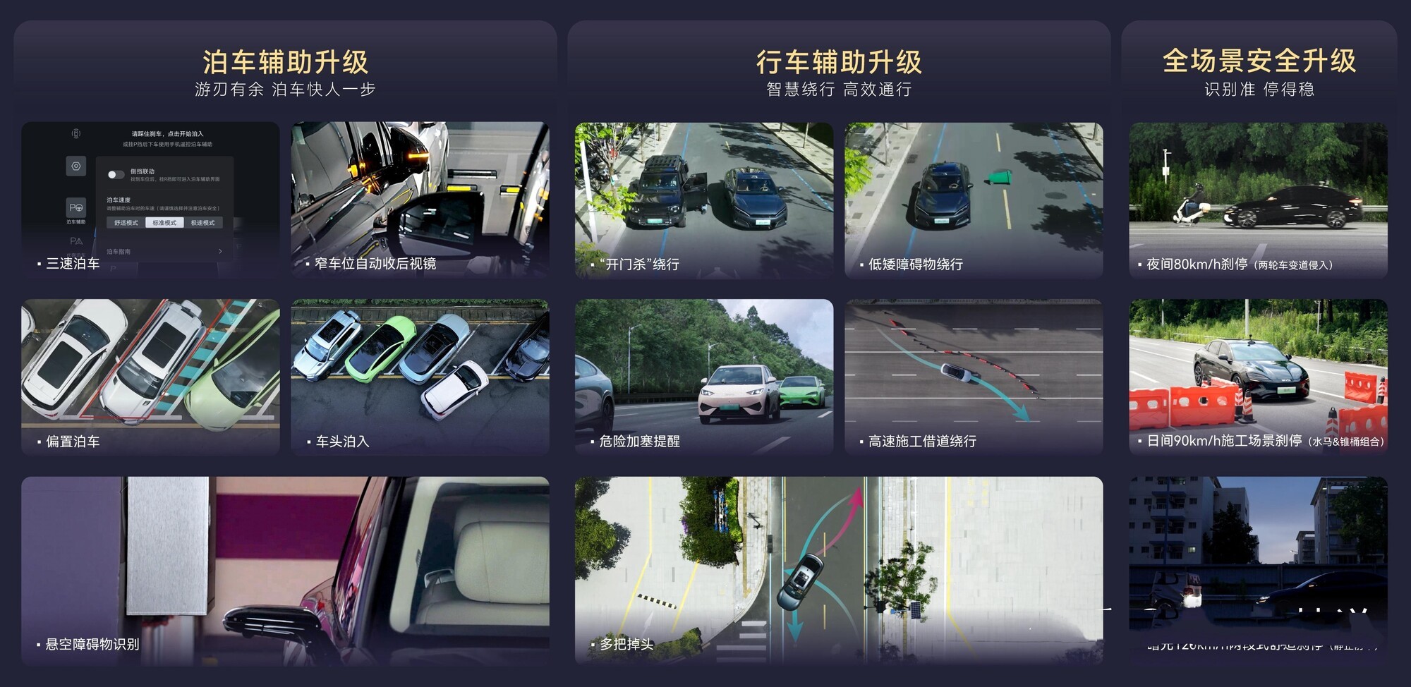 ���ǵ�2025��������ʻƽȨ Ϊʲôֻ�б��ǵ�������