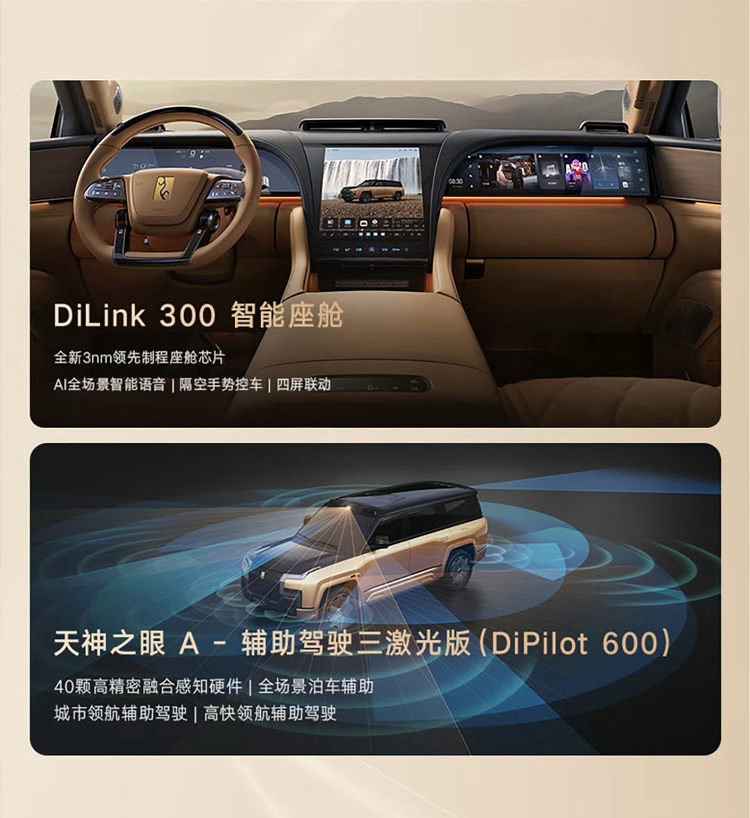 ���ǵ�2025��������ʻƽȨ Ϊʲôֻ�б��ǵ�������