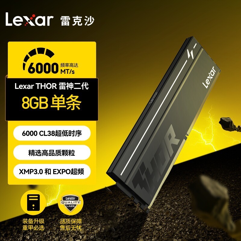 雷克沙 雷神二代 DDR5 6000 8GB单条 黑色 CL38 镁光颗粒