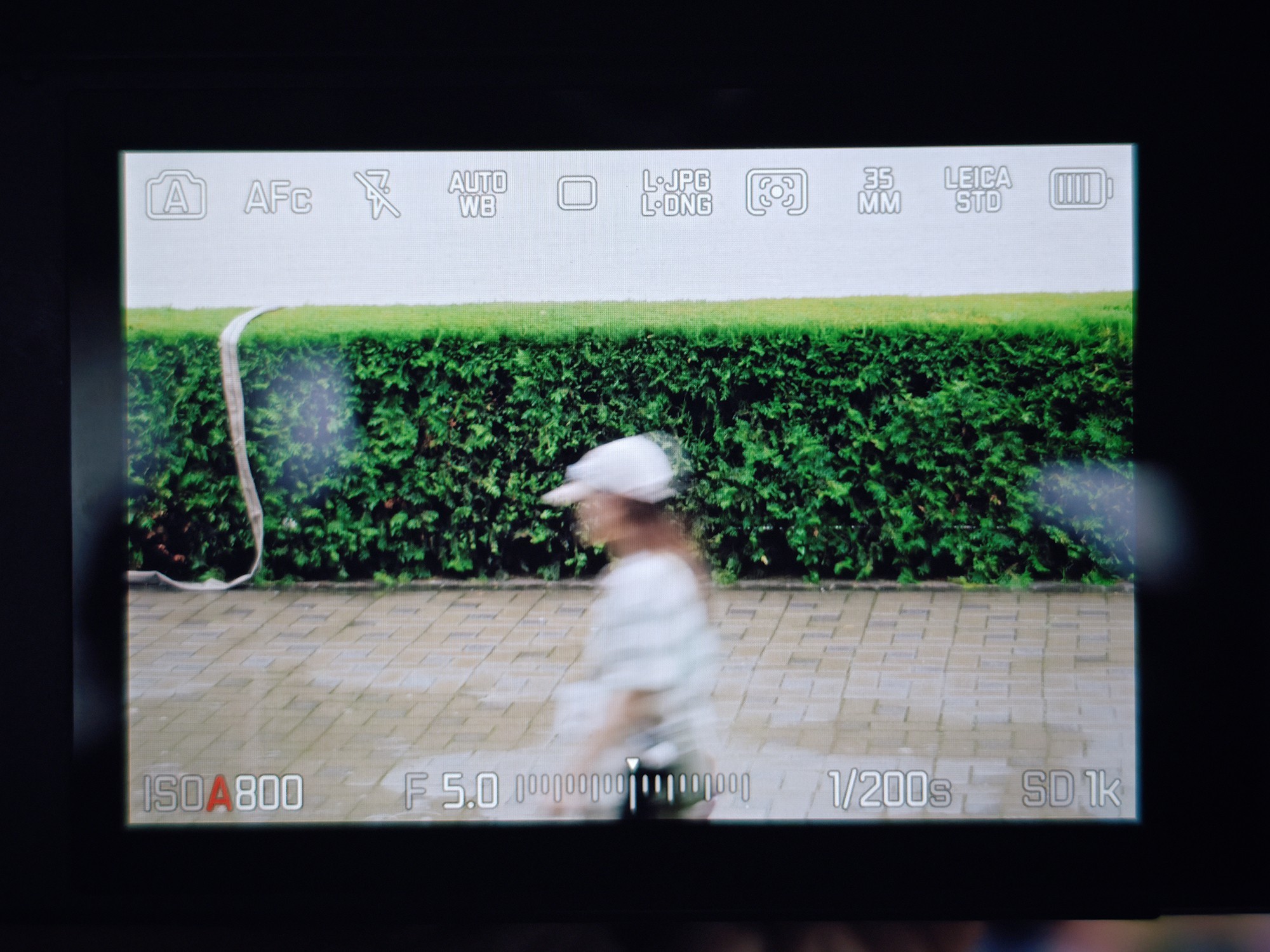 徕卡SL3-P拍摄初体验:一台性能均衡的徕卡微单旗舰