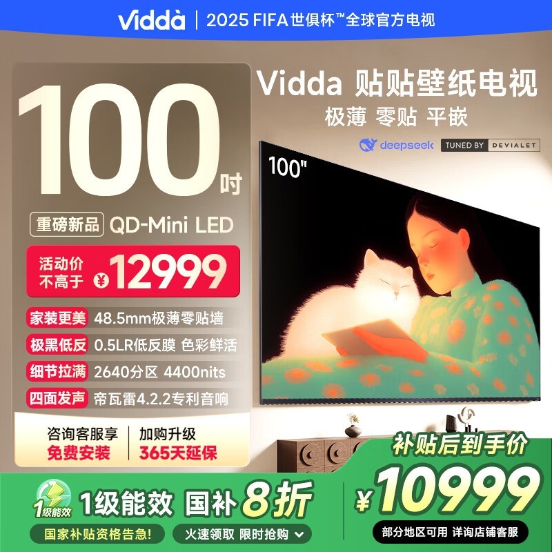 Viddaֽ100Ӣ