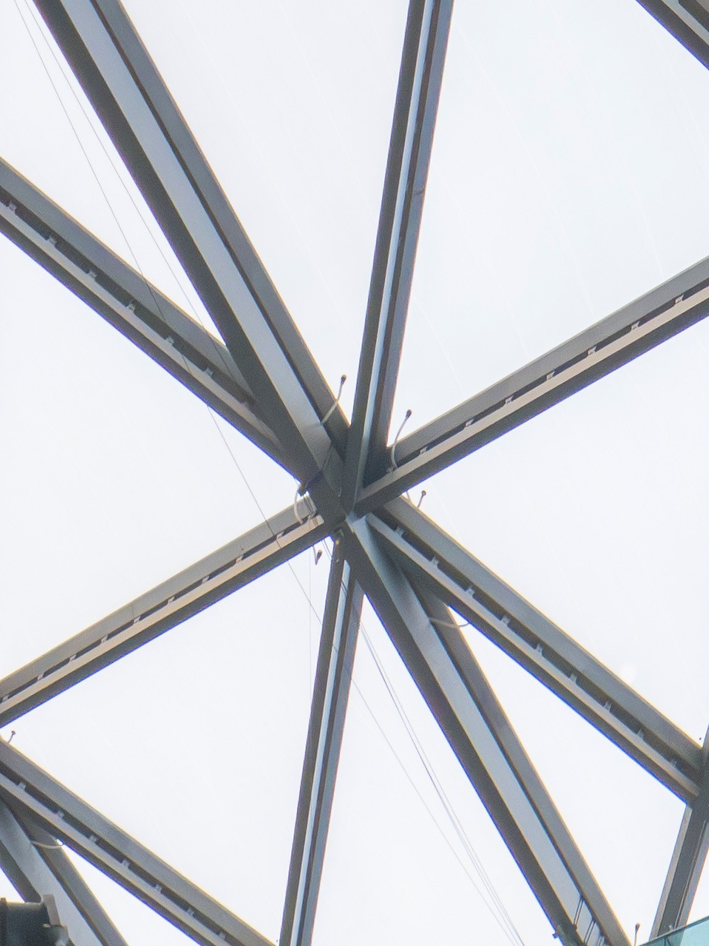 ᾵ͷȤ 17mm F4/35mm F2.8᾵ͷ