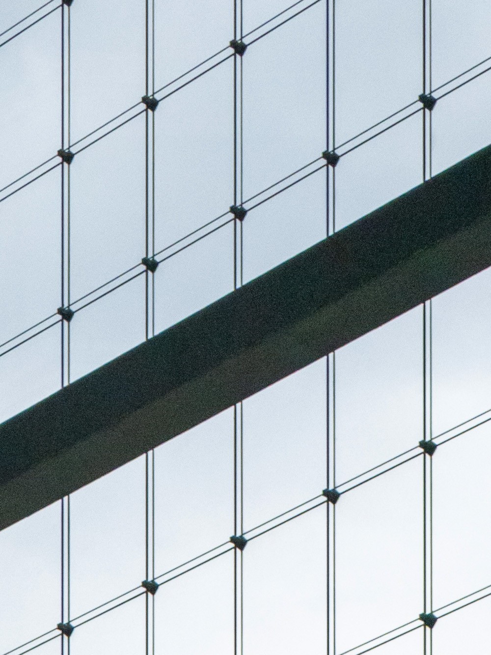 ᾵ͷȤ 17mm F4/35mm F2.8᾵ͷ