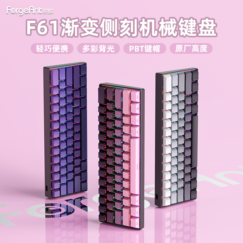 锐蚁 61键机械键盘有线游戏办公黑莓渐变笔记本电脑键盘女生