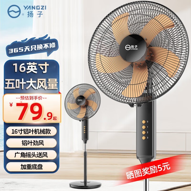 16Ҷеʱػ79.9Ԫ