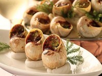 紧急提醒!非洲大蜗牛入侵南方切勿食用