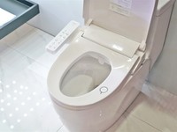  How to view the 999 yuan smart toilet lid?