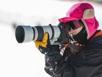  What kind of camera is more suitable for sports and wildlife photographers