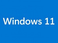 Ļֻһ Windows 11ʼ˵