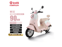 台铃繁花72V22Ah电摩 原价3599现3299