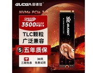 固德佳GVY系列1TB NVMe PCIe 3.0 SSD:高效TLC闪存,大容量疾速运行,性价比之选