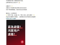 网易云音乐警告:鸿蒙5.0用户勿下载“平替版”应用