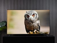 [Evaluation with materials] It's worth to start the evaluation of the king of 85 inch inner scroll TCL Q10G Pro