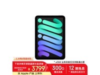 Apple iPad mini7 2024款限时特惠3607元