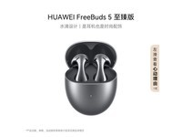 华为FreeBuds 5 至臻版冰霜银限时优惠