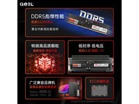 ޡGeILǧϵ DDR5 ڴ 16GBؼ299Ԫ