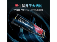 TP4000PRO̬Ӳ1TB444Ԫ