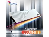 ޡ XPG  DDR5 5600 ڴ1807Ԫ
