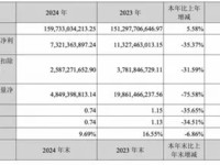 长安汽车2024年财报:营收增长但净利润下滑