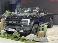 2025쳵չ¿F-150Ƥ