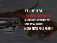 лԶ㾵ͷ ʿGF500mmF5.6 R LM OIS WR