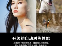 88VIP专享！索尼 Alpha 7 IV 相机仅售13740元