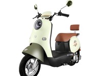 五星钻豹24G6电动车天猫促销仅2299元