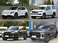 20��Ԫ�����д���5��SUV��������2.8�����ʵ����Ӳ�˶Ծ�