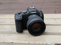 ƵƬȫ ȫר΢EOS R6 Mark III