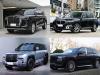 �����򼶴���SUV��Ƚ�����������ʵ���Ķ�Ԫ����