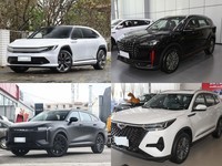 20����5��SUV�Ƽ�������������Դʵ������ۣ�����һ����������ó�����