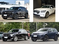 ��ʮ����Ԥ����ôѡ���������SUV������